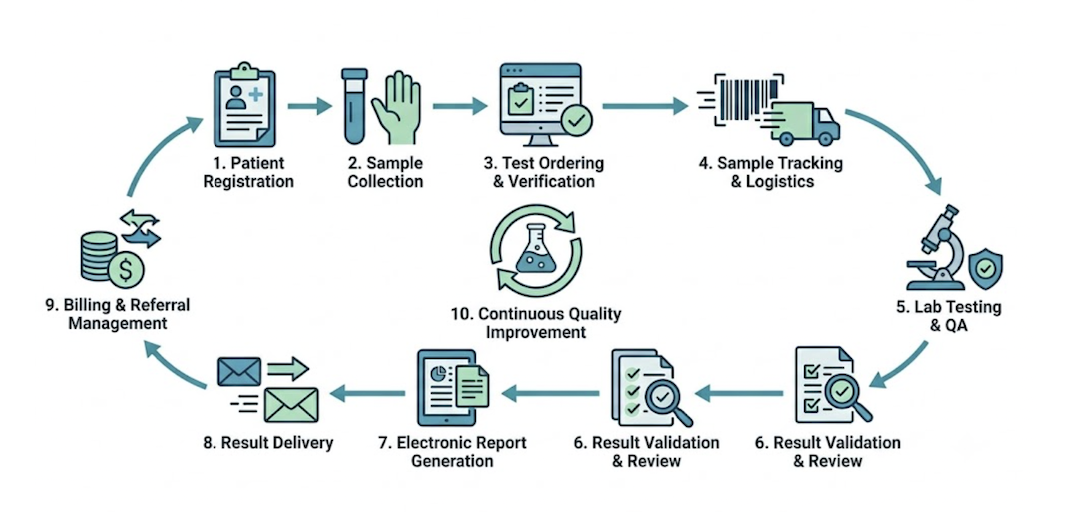 Diagnostic lab solution illustration
